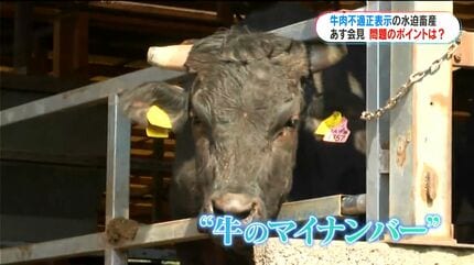 解説・水迫畜産不適正表示1か月、あす10日初の記者会見 原因究明・再発