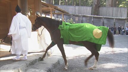 皇室から贈られた馬が神に仕える馬になるための儀式 伊勢神宮で｢御馬牽