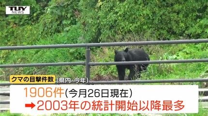 クマ目撃件数はすでに去年の5倍超10月だけで去年1年間超える（山形