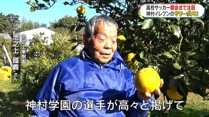 神村学園が運んだ“サワーポメロ旋風” 国立の舞台に立った特産品 初優勝