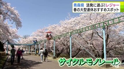 森園はく 5点お取り置き お散歩ガイド「森のしずくさんぽみち2022・やまゆりセルフガイド