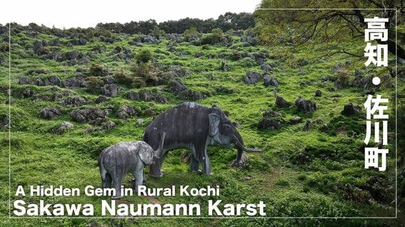【空から見る高知】山の中の隠れた秘境 佐川ナウマンカルスト A Hidden Gem in the Mountains Sakawa Naumann Karst | 高知のニュース・天気|KUTV NEWS | KUTVテレビ高知