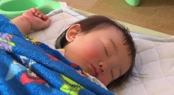 「安心感がある」保育園に「お昼寝見守りシステム」導入　「おひるねベット」に「完全給食」、「オムツのサブスク」も！保育士や保護者の負担軽減に…中野市の試みとは　|　SBC NEWS | 長野のニュース | SBC信越放送