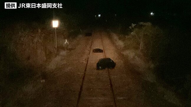 上下2本の列車が相次いで5頭のクマと衝突した事例も　JR東日本盛岡支社管内のクマによる列車の影響は既に前年度越え|TBS NEWS DIG