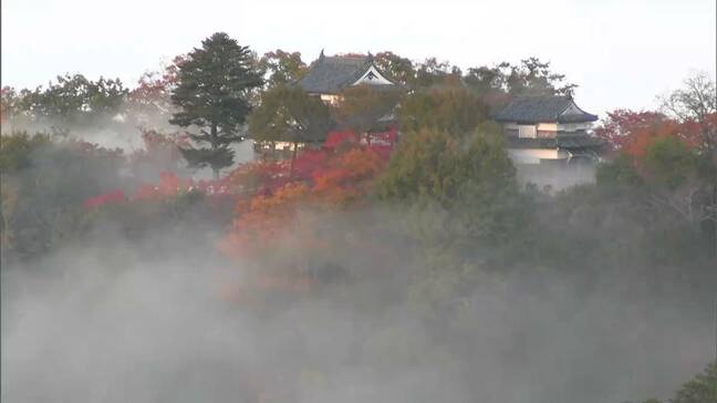 霧に浮かぶ「天空の山城」　紅葉に彩られた備中松山城が雲海に包まれる　紅葉と雲海は11月下旬ごろまで|TBS NEWS DIG