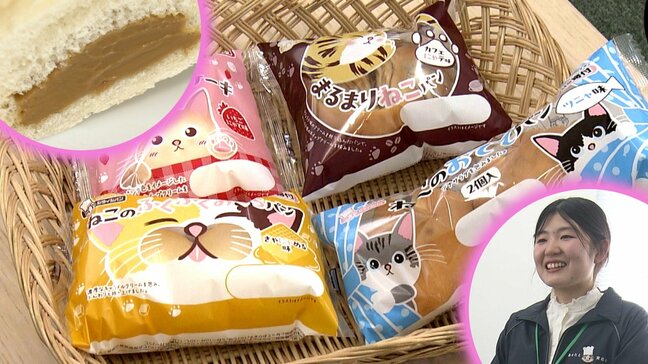 ネコ好きの社員が中心となって開発　「ねこパン」が異例の大ヒット　中心メンバーに商品に込めた思いを聞く　盛岡市|TBS NEWS DIG