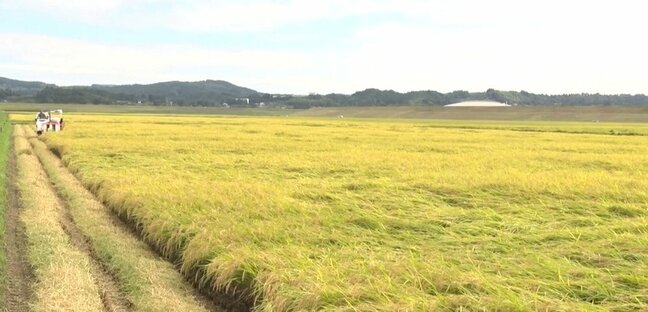 岩手県内稲刈りの進捗率は前年並み69% 10月上旬には刈り取りほぼ終了の見込み|TBS NEWS DIG