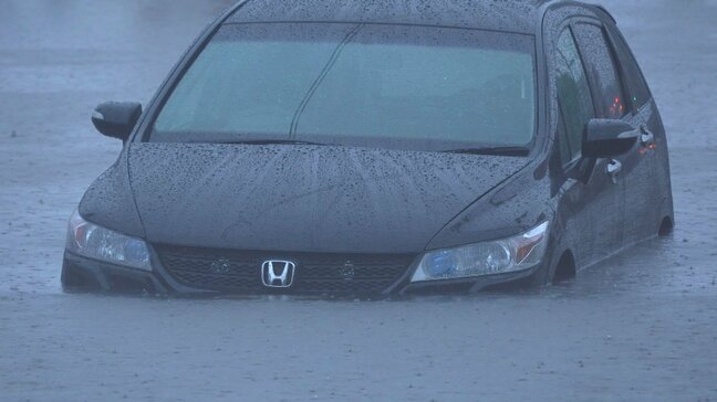 熊本県で“レンタカーが足りない” 被災後の無償貸与 初日で約500件の申し込み 車の寄付も追加募集|TBS NEWS DIG