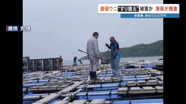 養殖ウニ「すり替え」か　被害額は約6000万円　熊本県天草市の水産会社が通報　海上保安部が捜査|TBS NEWS DIG