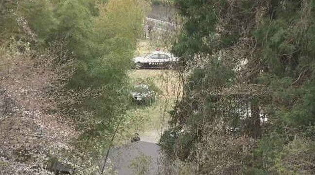 「沼に人のようなものが倒れている」沼で遺体発見　事件と事故の両面で捜査　仙台|TBS NEWS DIG