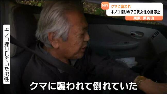 「仲間がクマに襲われている」キノコ採り70代女性が心肺停止 別の女性も不明 宮城・栗原市|TBS NEWS DIG