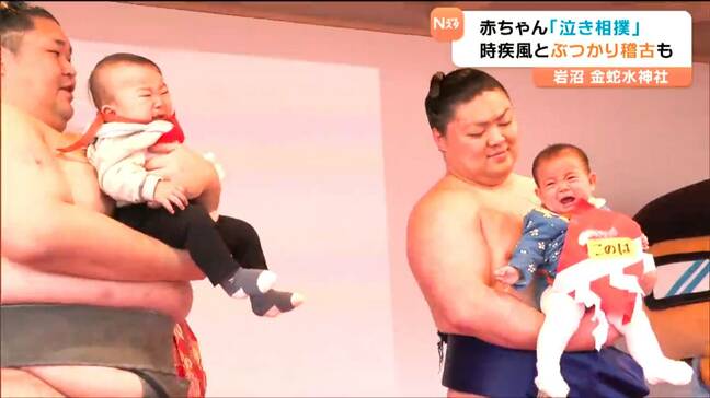 赤ちゃん「泣き相撲」に時疾風と「ぶつかり稽古」も 子どもの健やかな成長願い金蛇水神社で相撲行事 宮城・岩沼市 |TBS NEWS DIG