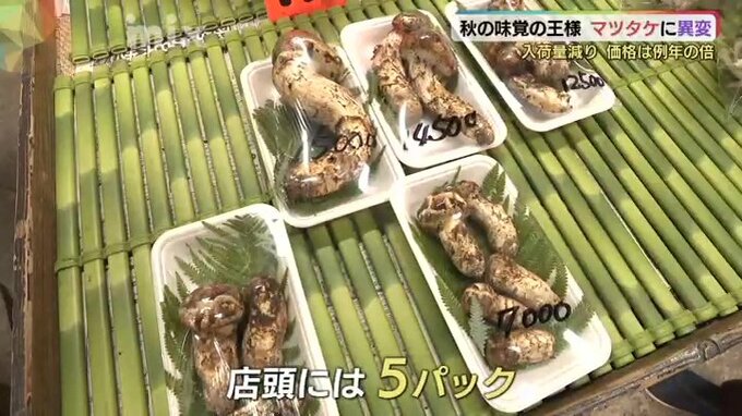 秋の味覚の王様「マツタケ」に異変･･･入荷量激減・価格は例年の倍に|TBS NEWS DIG