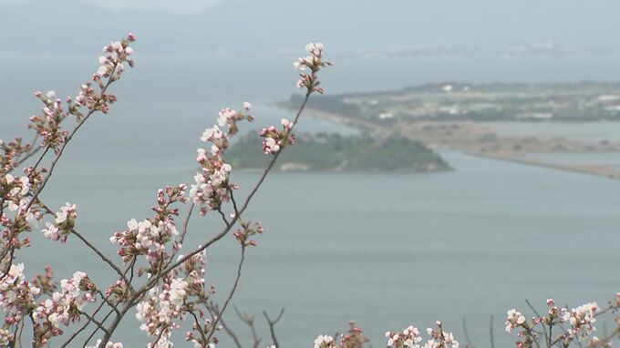 週末のお花見は？【米子市】360度のパノラマ絶景と満開のサクラ「ここ来るの初めてなんですけれどもほんまに景色が良くて…」　|　BSSニュース | BSS山陰放送
