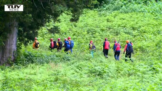 山菜採りの男性が遭難、捜索も見つからず　県内では遭難が頻発、クマ被害で死者も（山形・鶴岡市）|TBS NEWS DIG
