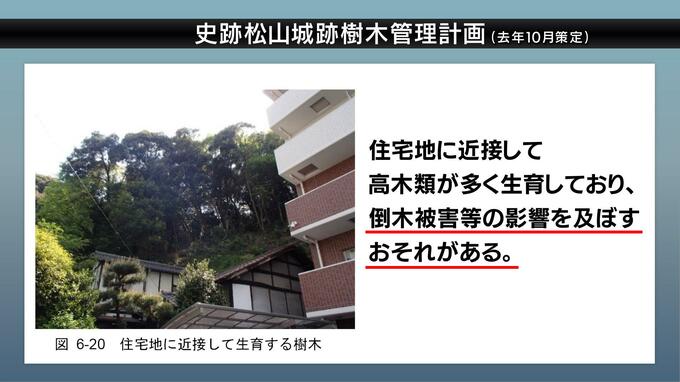 土砂崩れで3人死亡 現場は「倒木被害等の影響を及ぼすおそれがある」と市が明記 巻き込まれた民家の写真も　|　愛媛のニュース - Nスタえひめ｜あいテレビは6チャンネル