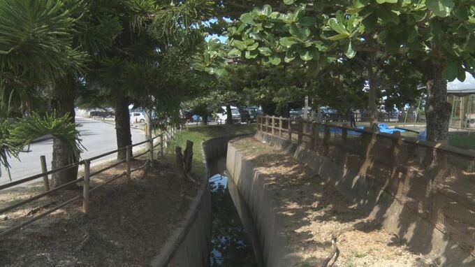 祭り会場の近くで川に転落　77歳の男性が死亡　恩納村|TBS NEWS DIG