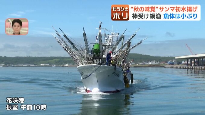 根室市の花咲港に入港するサンマ棒受け網漁の小型船