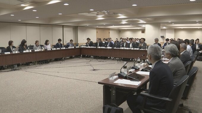国民年金「3号」縮小に向けた議論始まる　被保険者の実態調査も　厚生労働省|TBS NEWS DIG