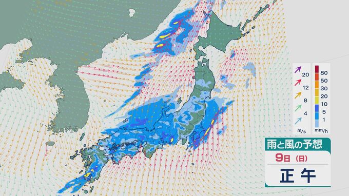 週末は低気圧や前線が西から東へ進む見込み 9日(日)は九州から北海道まで雨の降る天気に 洗濯や外出はできれば土曜日に 雨と風シミュレーション |TBS NEWS DIG