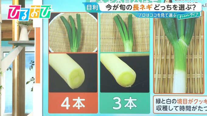 ネギの頭は3本・4本どっちがおいしい？プロはここを見る！白菜・大根 冬野菜の目利き術【ひるおび】|TBS NEWS DIG