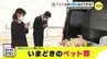 「家族みたいに弔いたい…」いまどきのペット葬　最後をどう見送る？　コロナ禍でペット飼う人増　|　RCC NEWS | 広島ニュース | RCC中国放送