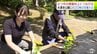 公園の景観向上へ　青森県むつ市の「水源池公園」にマリーゴールドやベゴニアなど合わせて600株の色とりどりの花が植えられる　花は7月にかけて見頃に　|　青森のニュース│ATV NEWS│青森テレビ