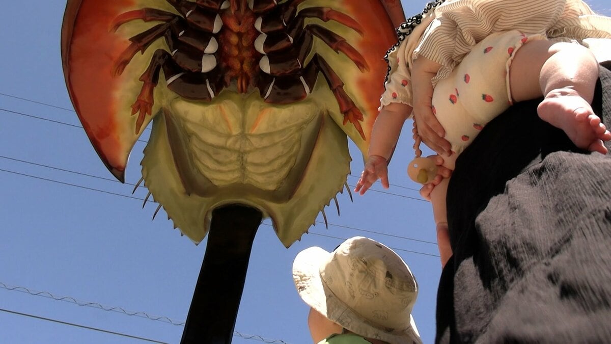 公園に現れた「あまりにグロテスクな巨大カブトガニ」しかも2.2