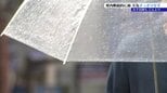 岩手県内は広い範囲で曇り このあと夜の初めごろにかけて、雷を伴う雨が降る見込み|TBS NEWS DIG