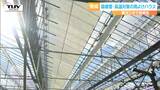 霜被害・高温対策の雨よけハウス完成 農業関係者に説明会(山形) | 山形のニュース│TUYテレビユー山形