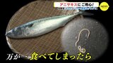 「ドリルで胃壁をグリグリの痛さ」　アニサキスにはどう対処？　専門家に聞くと…　|　RCC NEWS | 広島ニュース | RCC中国放送
