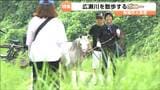 広瀬川を散歩する珍しい住民!「記者が崖崩れの取材中に出会った」地域に愛されるポニーの"ポーちゃん" 追いかけて見えてきたものは? | 宮城のニュース│tbc NEWS│tbc東北放送