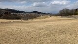山形市みはらしの丘の公園にクマ　市は公園を閉鎖し対応　注意を呼びかけ　|　山形のニュース│TUYテレビユー山形
