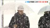 山沿いでは24時間に60センチの降雪予想も 新潟県内は大雪による交通障害に注意・警戒が必要|TBS NEWS DIG