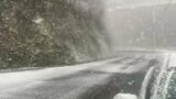 “最強寒波”太平洋側でも大雪に、海上も大しけの予想…高知の山間部でもすでに大雪【写真あり】 | 高知のニュース・天気|KUTV NEWS | KUTVテレビ高知