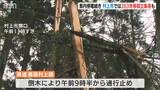クリスマス寒波で停電続き倒木の影響で263世帯が孤立状態【新潟】(24日午後6時現在)|TBS NEWS DIG