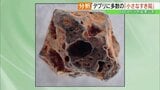 福島第一原発の燃料デブリ 内部全体に多数の「小さなすき間」JAEAが分析結果を公表 | 福島のニュース│TUF