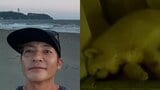 【 いぬ 】大いびき 愛犬「アグオ先生」爆睡でつるの剛士さん「寝不足」 フォロワー共感「可愛くて起こせない」|TBS NEWS DIG