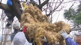 大きさは3m 江戸時代から続く伝統の大草鞋(おおわらじ)作り 地域の無病息災を願う | 山梨のニュース | UTYテレビ山梨