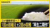 コメ価格安定への“切り札”？ 「田植えのコストかからない」1回の田植えで2回収穫“再生二期作”に熱視線　メリット・デメリットは【news23】|TBS NEWS DIG