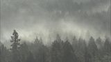 スギ花粉2月上旬から飛散予想 量は例年並みか 大分 | 大分のニュース|OBS NEWS|大分放送
