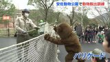 安佐動物公園で動物脱出訓練　地震で逃げた想定　去年秋には野生のクマも出没　|　RCC NEWS | 広島ニュース | RCC中国放送