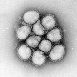 インフルエンザ　この時期としては過去10年で最多…前の週より2倍以上…36都道府県で「警報」レベル　1医療機関あたりの患者数は大分・鹿児島・佐賀・千葉・福岡の順で多く　長野県も倍増して定点あたり35.55人で「警報」　|　SBC NEWS | 長野のニュース | SBC信越放送
