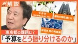 都知事選が告示　史上最多56人が立候補、東京都の課題は？【Nスタ解説】|TBS NEWS DIG