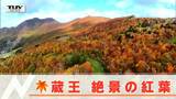 「連泊のお客様が多い」 紅葉見ごろの秋の蔵王(山形)に変化!? ”全国旅行支援”の効果で平日でも旅行客が増加 | 山形のニュース│TUYテレビユー山形