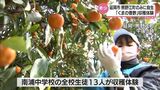 延岡市の一部のみに自生 希少な柑橘類「くまの香酢」 地元の中学生が収穫体験 | MRTニュース | MRT宮崎放送