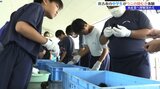地元の水産業について理解を深めるため 中学生がウニの殻むき体験 岩手・宮古市|TBS NEWS DIG