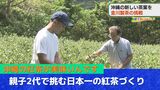 緑茶から紅茶へと方向転換!南国沖縄で栽培される全国3連覇の紅茶とはー | 沖縄のニュース|RBC 琉球放送