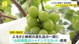 長野・須坂市 ふるさと納税返礼品の一部に山形県産「シャインマスカット」を使っていたと明らかに|TBS NEWS DIG