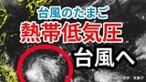 【台風情報】「熱帯低気圧」(台風のたまご)がフィリピンの東で発生→「台風」へ発達する見込み 今後の進路は? 週末18日・19日の天気への影響は? 詳しい雨風シミレーションをみる【気象庁 17日午後1時発表】 |TBS NEWS DIG